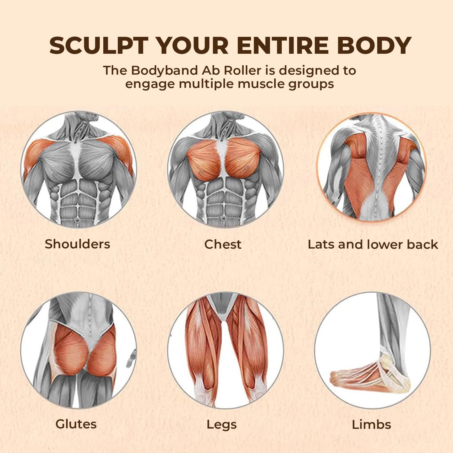 61dcxd803aL._SL1500_