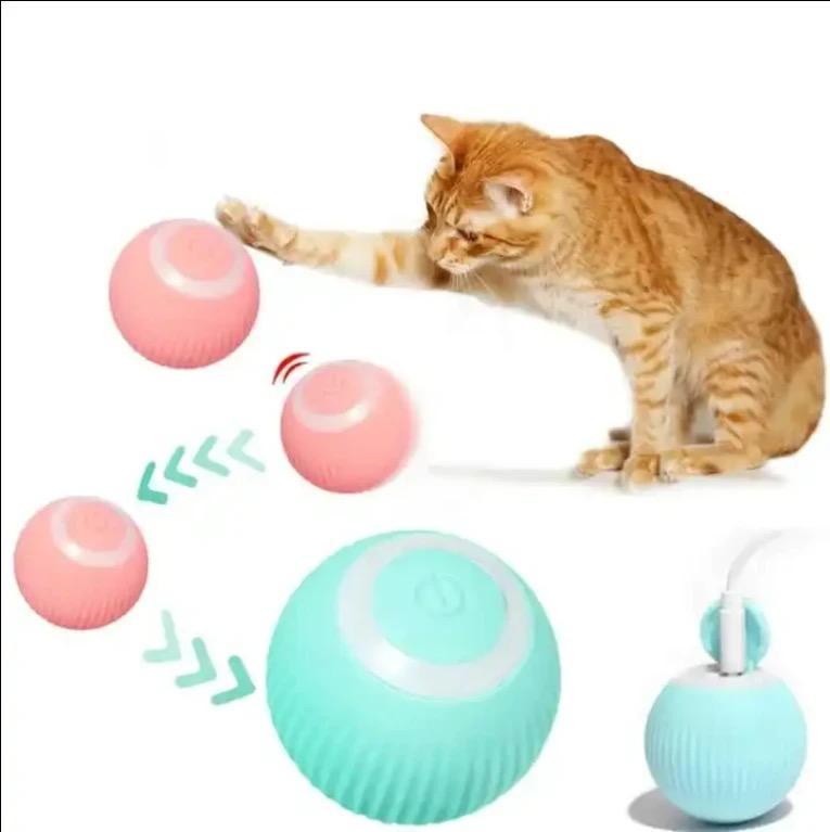 Cat Bouncing Ball