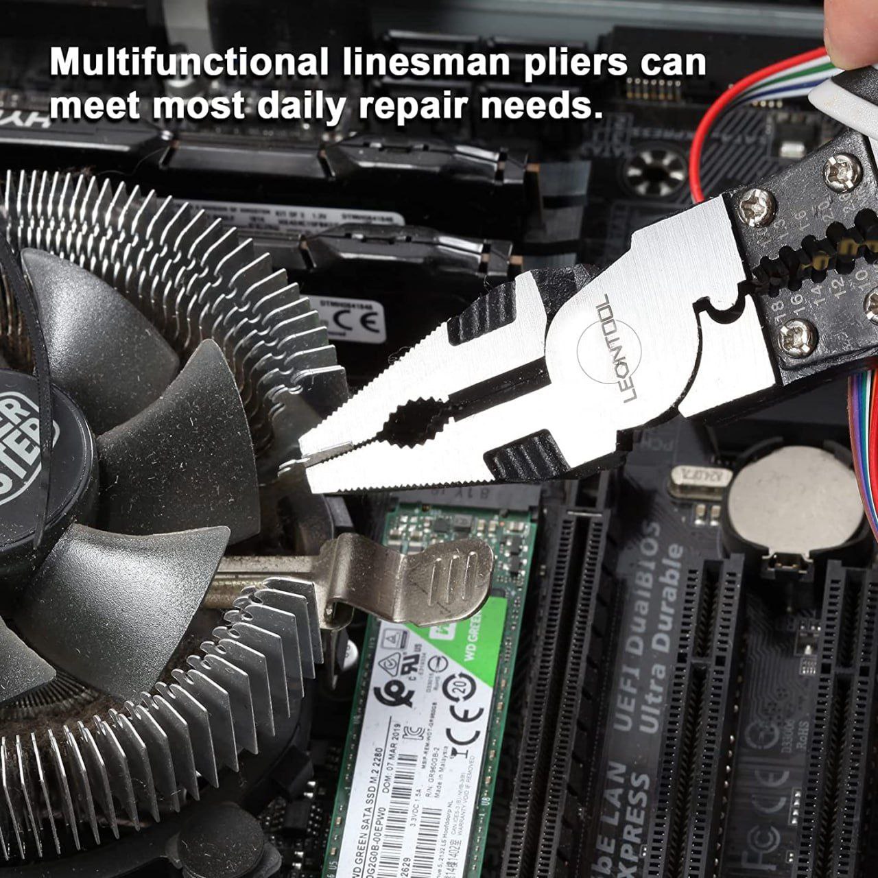 photo_2024-03-01_13-39-17